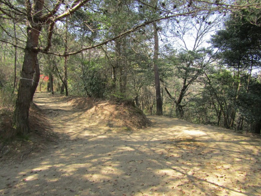 林間広場 分岐点５ 公式webサイト 香川県満濃池森林公園